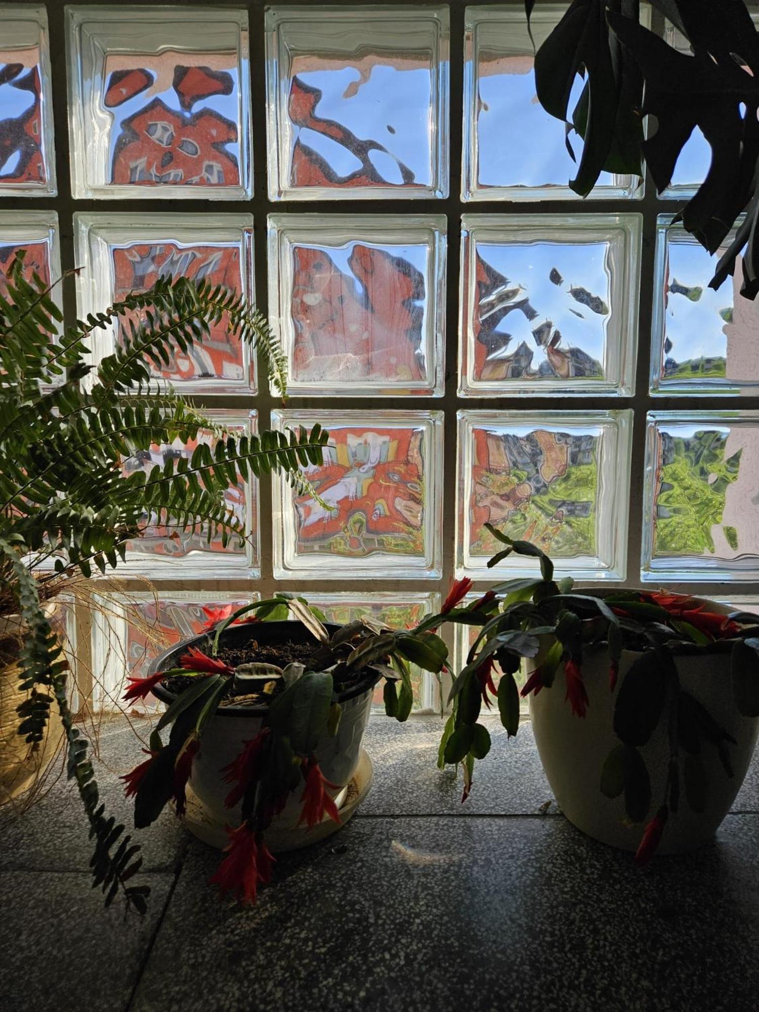 Holiday Home Peaceful Retreat Високо Экстерьер фото